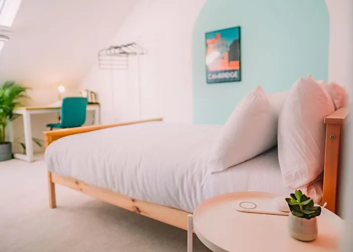 Cozy Stay