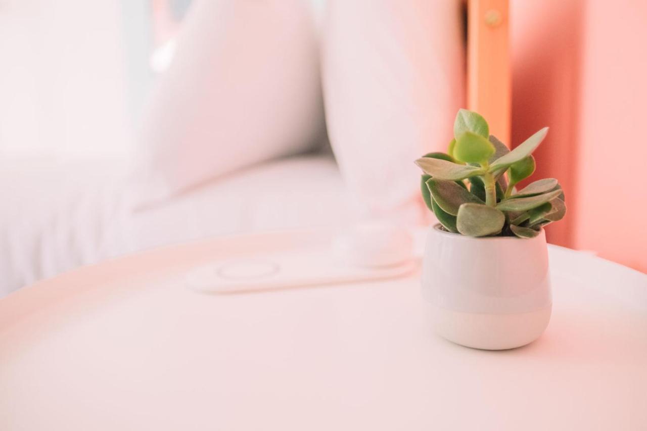 Couette-café Cozy